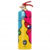 Estintore a polvere - 2 kg
