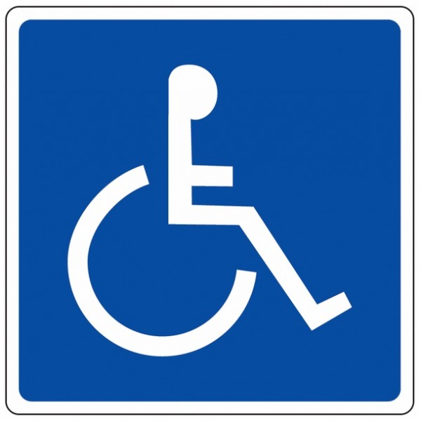 Cart. informativo disabili 250x250