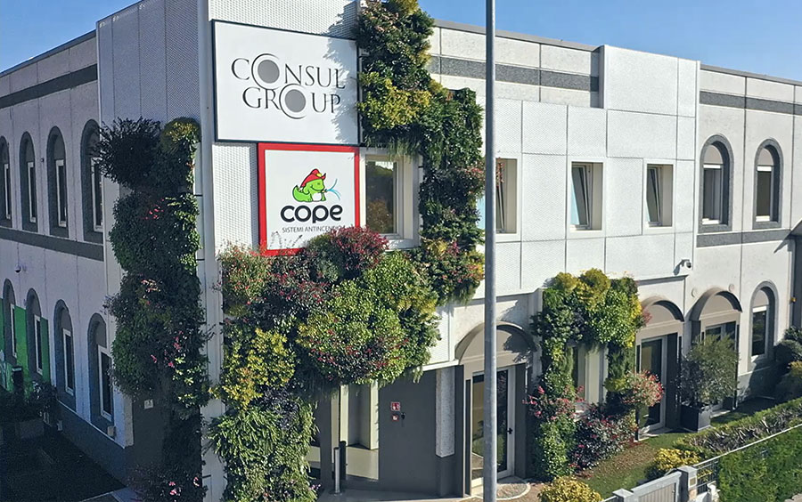 ConsulGroup e Cope: ecco i servizi garantiti